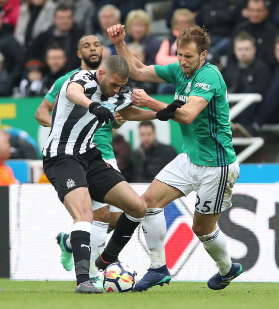 导能力相辅 导能力相辅