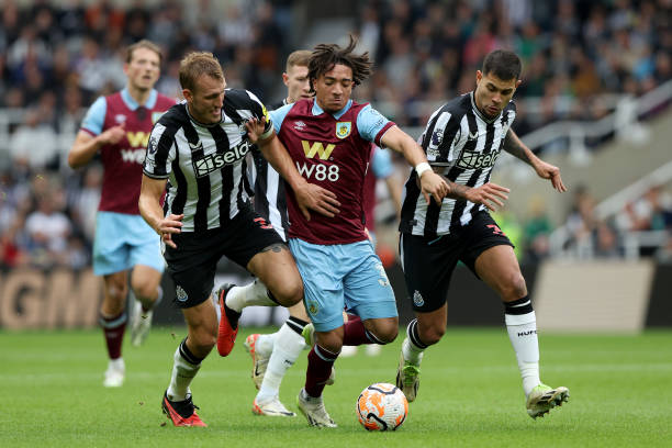 他或许需要 他或许需要